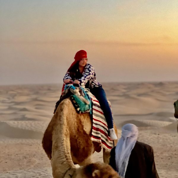 Dromadaire du Sahara tunisia