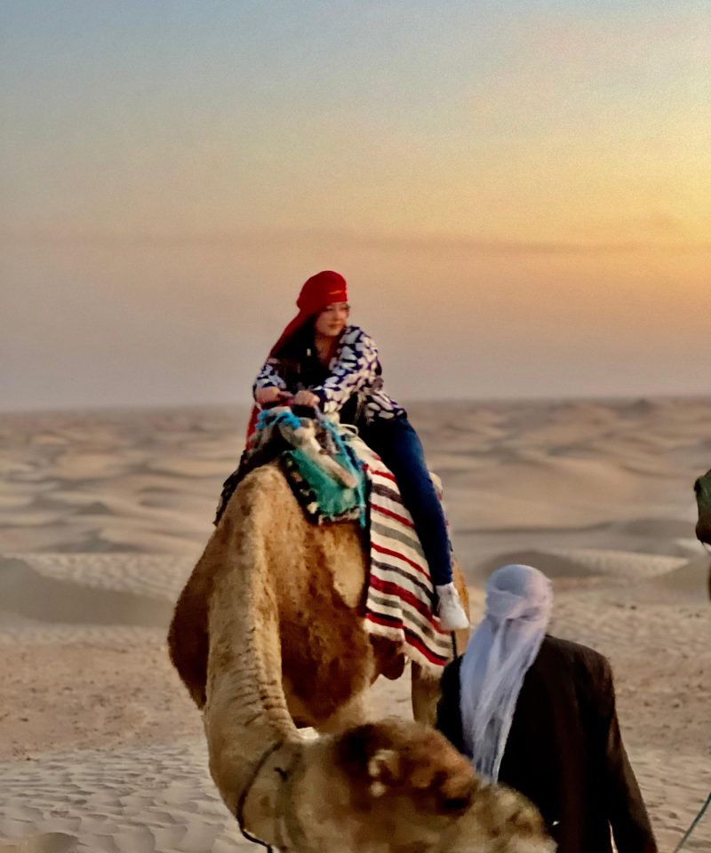 Dromadaire du Sahara tunisia