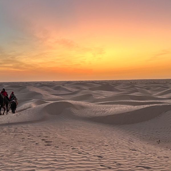 sahara.tunisie.camel_-scaled.jpeg