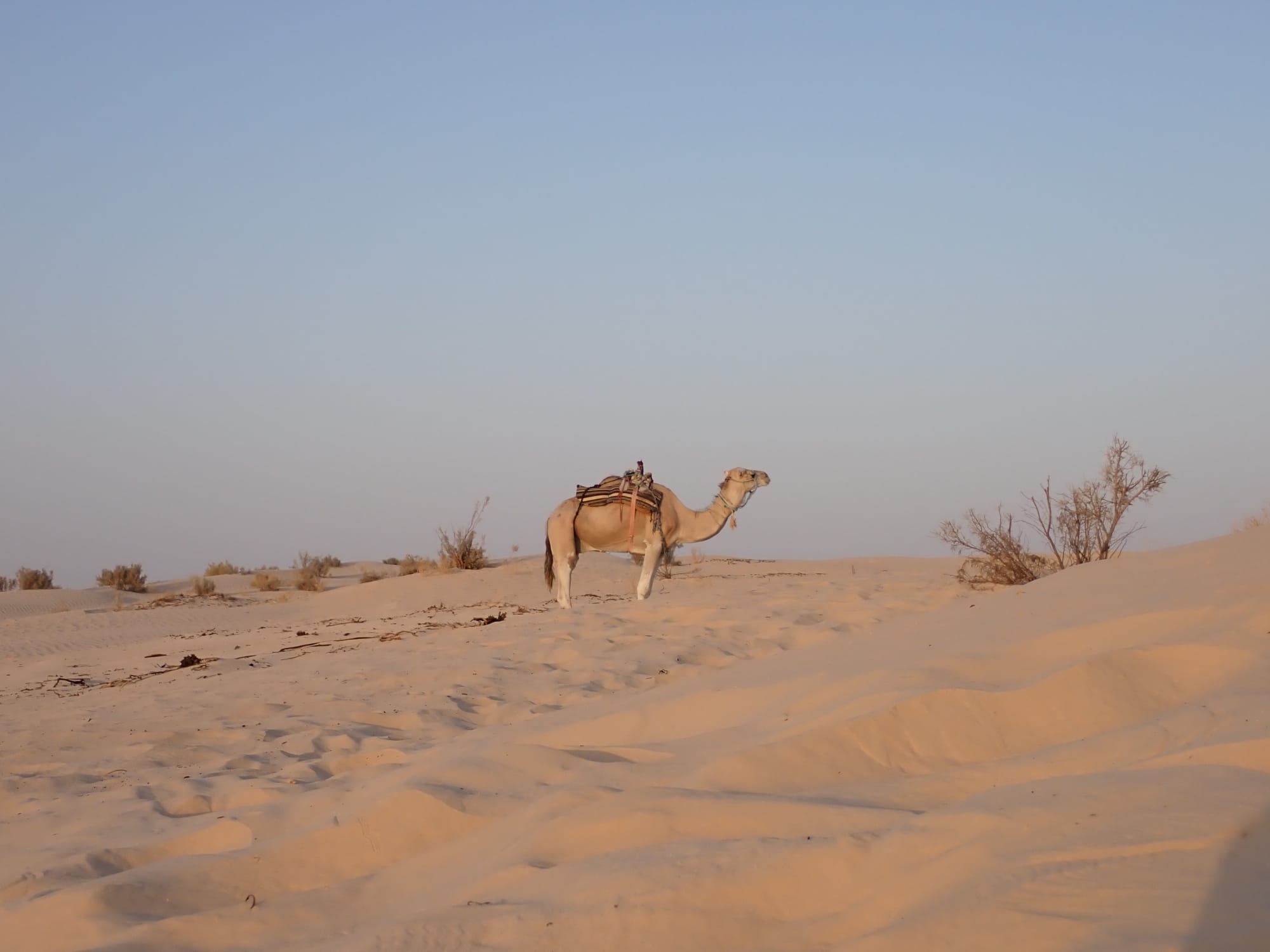 ksar ghilan
