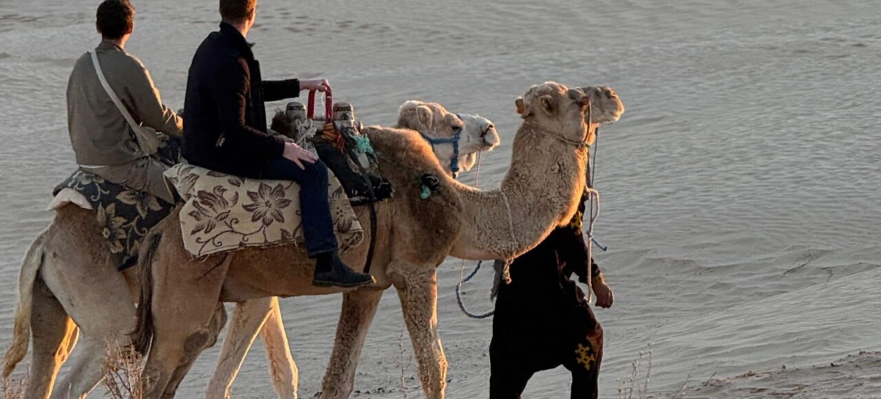 Excursion en dromadaire au coucher du soleil dans les dunes du Sahara tunisien.