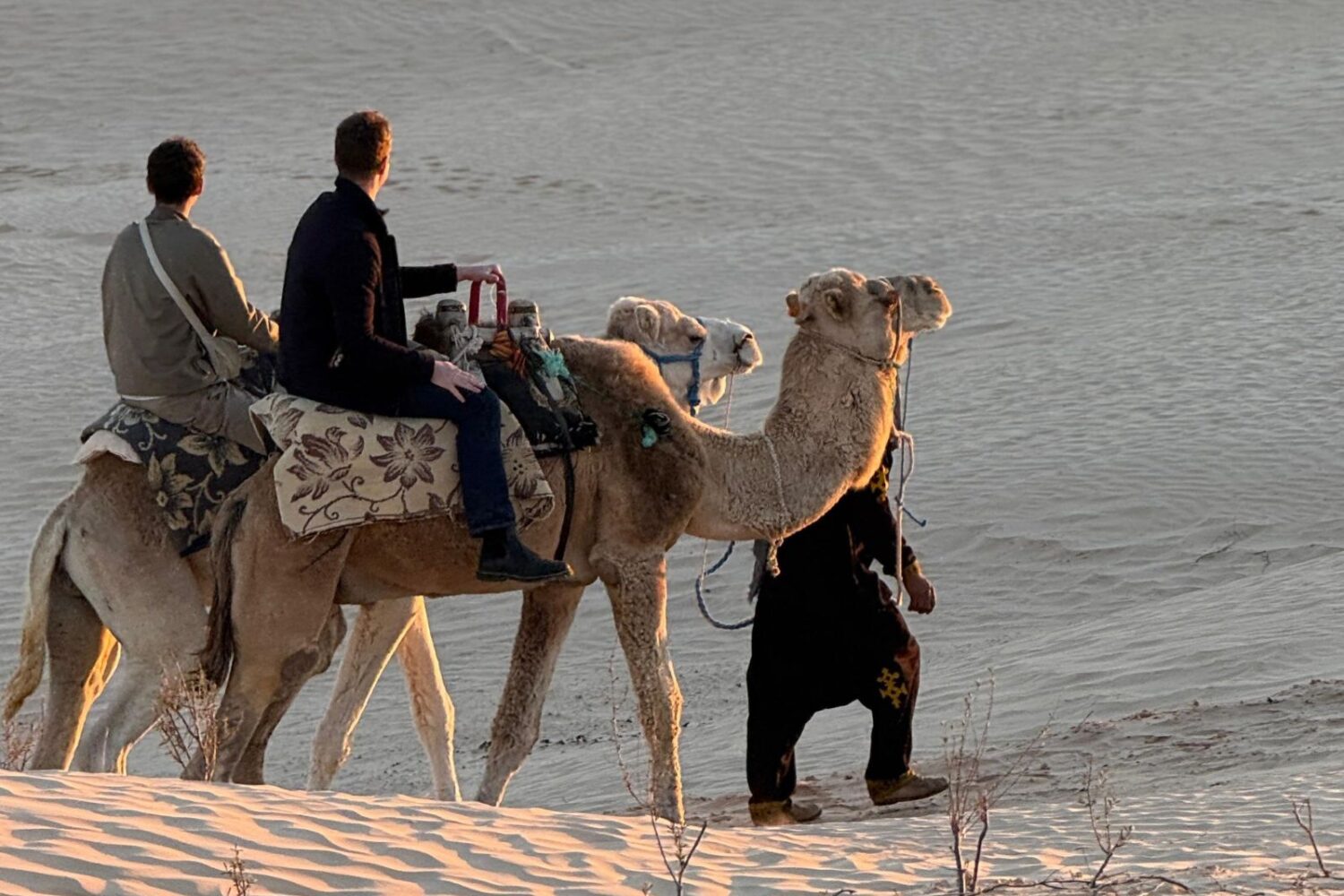 Excursion en dromadaire au coucher du soleil dans les dunes du Sahara tunisien.