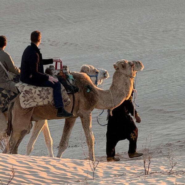 Excursion en dromadaire au coucher du soleil dans les dunes du Sahara tunisien.