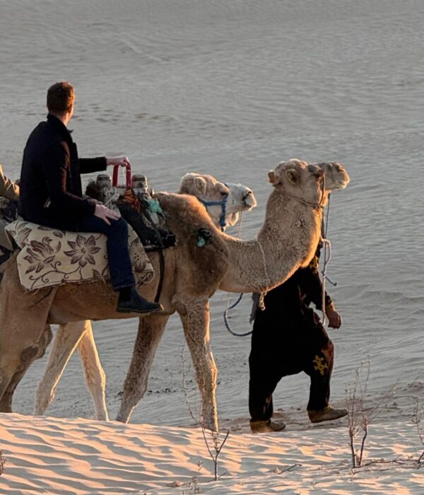 Excursion en dromadaire au coucher du soleil dans les dunes du Sahara tunisien.