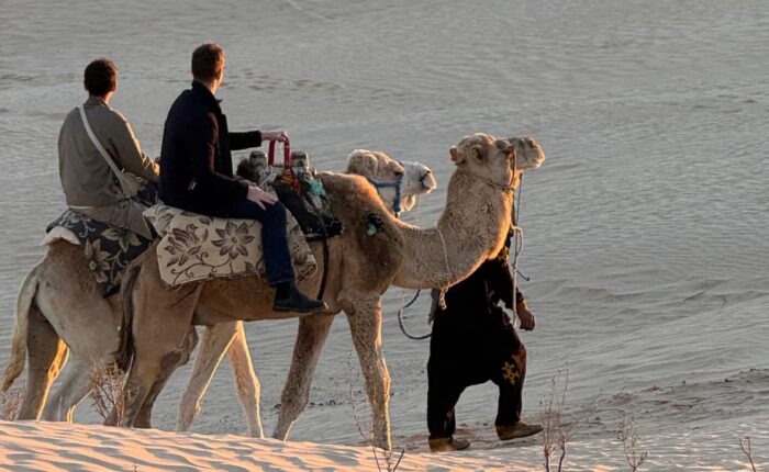 Excursion en dromadaire au coucher du soleil dans les dunes du Sahara tunisien.