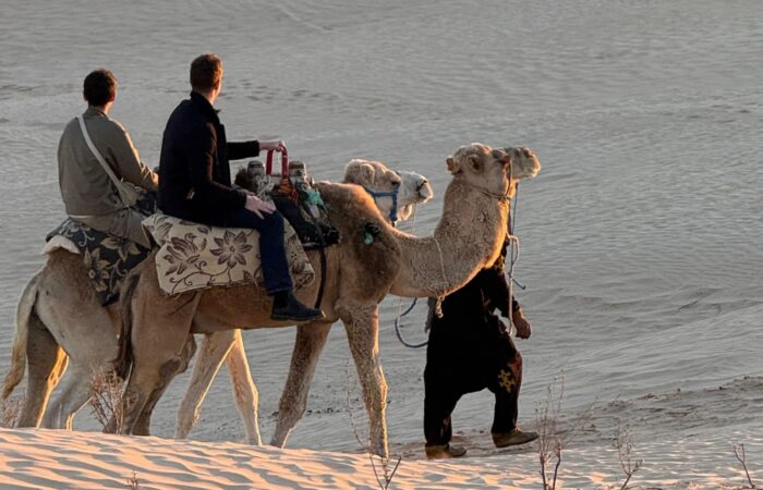Excursion en dromadaire au coucher du soleil dans les dunes du Sahara tunisien.