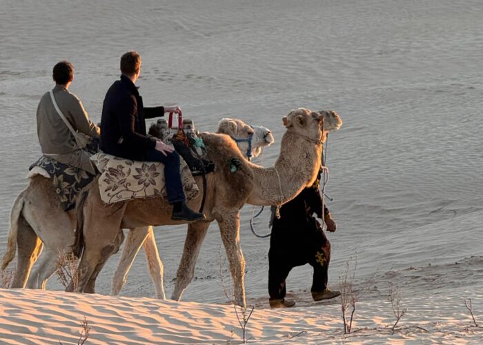 Excursion en dromadaire au coucher du soleil dans les dunes du Sahara tunisien.